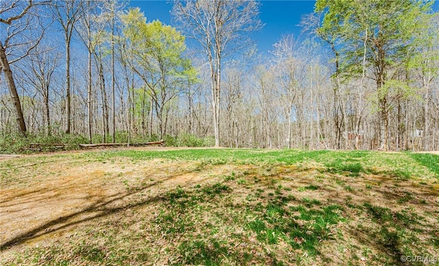 30284 Zoar Rd, Orange, VA 22508 - view of yard featuring a view of trees