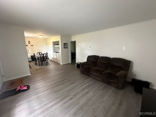 living room with hardwood / wood-style floors