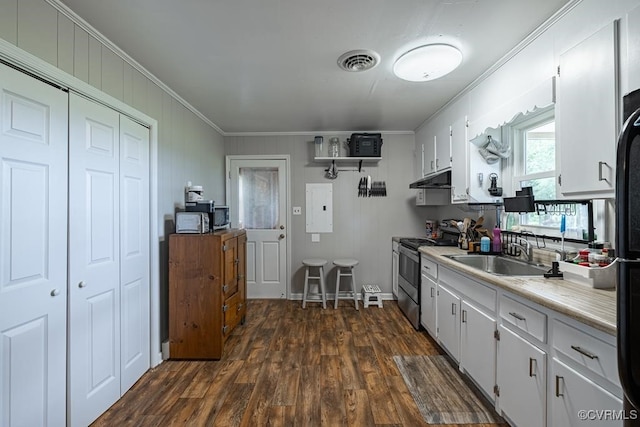 kitchen featuring white cabinetry, sink, stainless steel appliances, and dark hardwood / wood-style floors