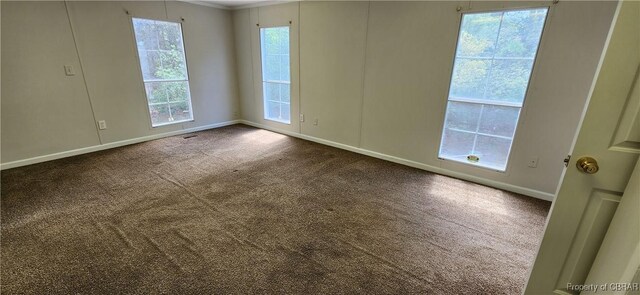 unfurnished room with carpet flooring and a wealth of natural light