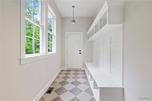 15812 W Millington Dr, Midlothian, VA 23112 - mudroom featuring healthy amount of natural light and baseboards