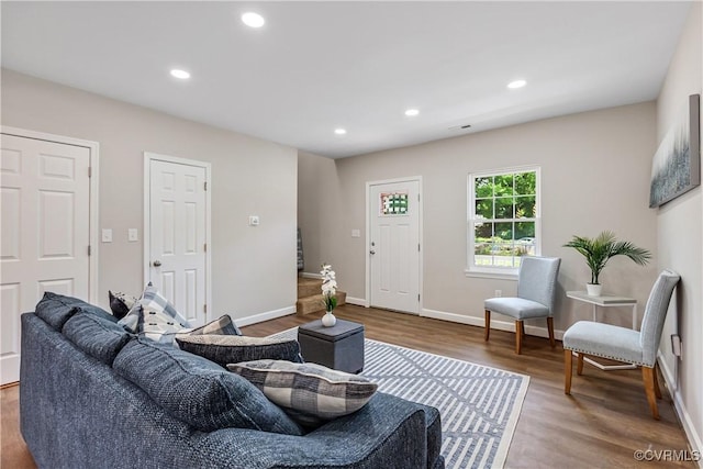 living room featuring hardwood / wood-style floors