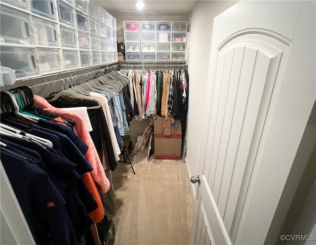 walk in closet with carpet