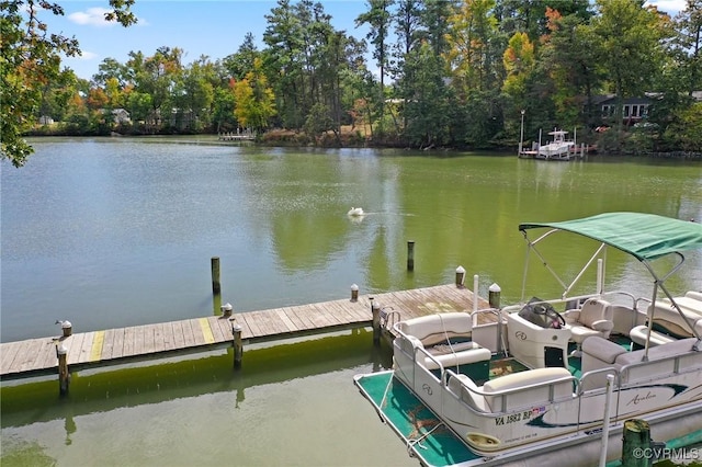 view of dock with a water view