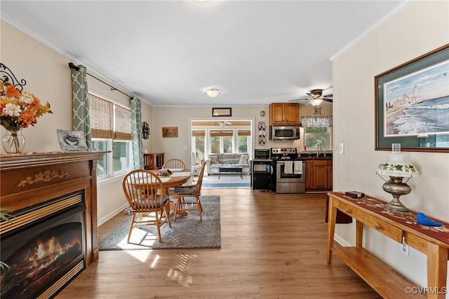 dining area with crown molding, sink, ceiling fan, and light hardwood / wood-style floors