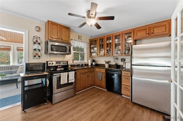 kitchen with a healthy amount of sunlight, sink, light hardwood / wood-style floors, and stainless steel appliances