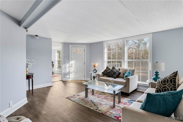 living room with dark wood-type flooring