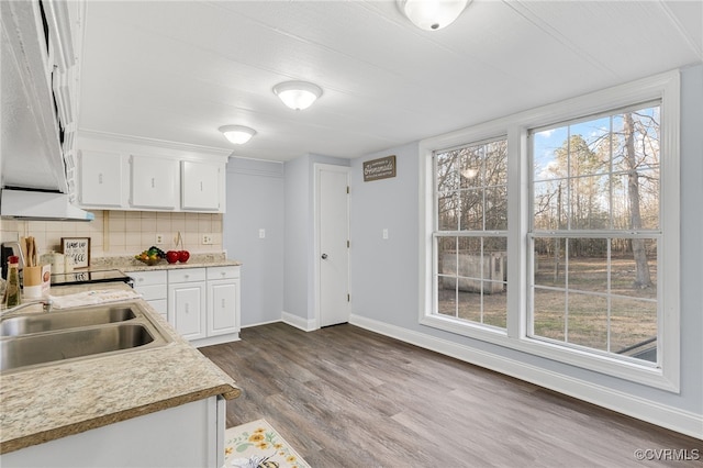 kitchen with white cabinets, decorative backsplash, sink, and hardwood / wood-style floors