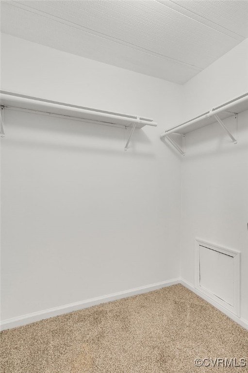 walk in closet with carpet floors