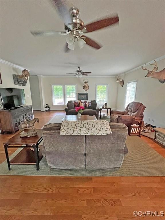 living room featuring hardwood / wood-style floors, ceiling fan, and ornamental molding