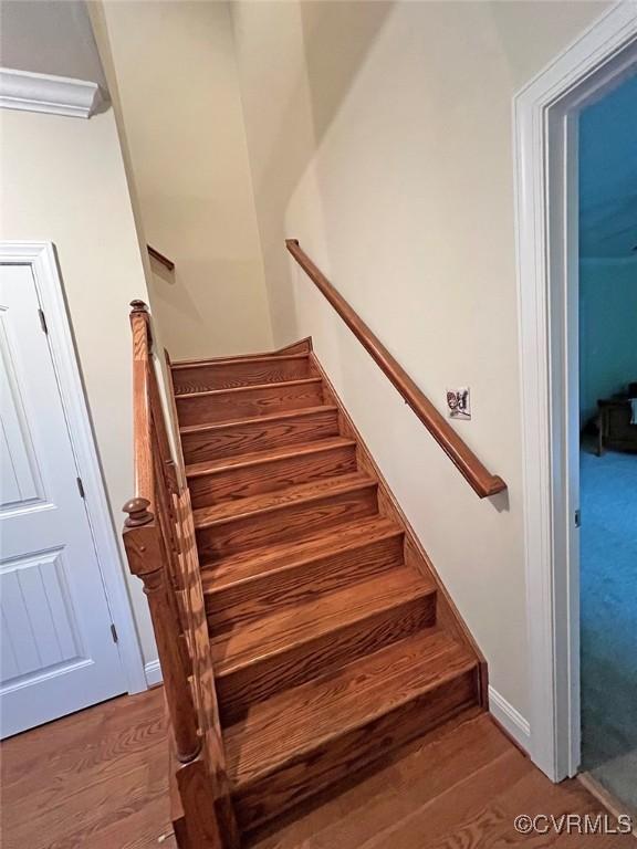 132 Forest View Rd, Cumberland, VA 23040 - photo 22