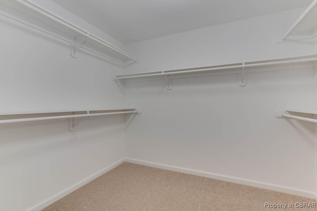 walk in closet featuring carpet