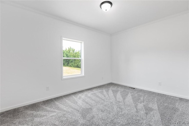 spare room with carpet and crown molding