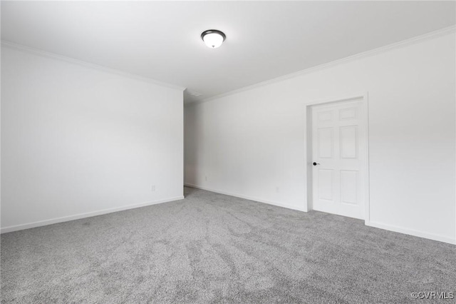 spare room featuring carpet and ornamental molding