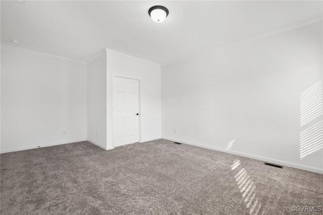 additional living space with carpet flooring