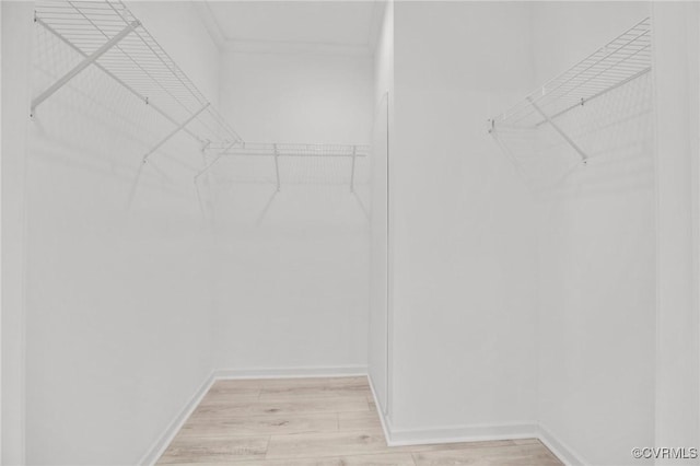 spacious closet featuring light wood-type flooring