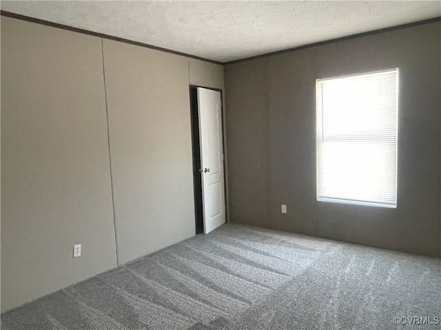 spare room with carpet flooring, crown molding, and a textured ceiling