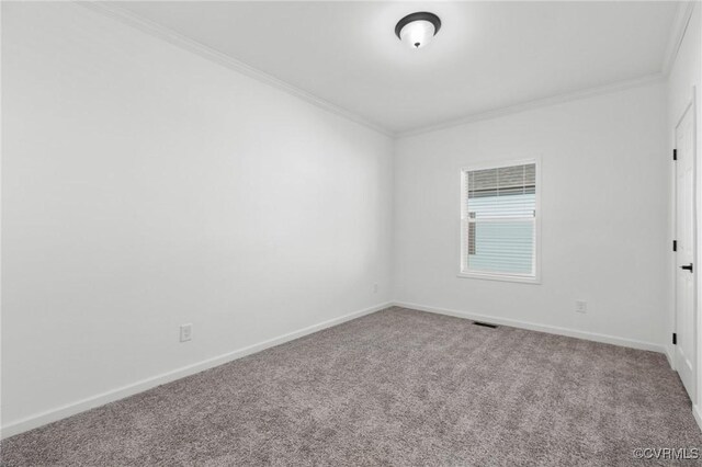 spare room with carpet and ornamental molding