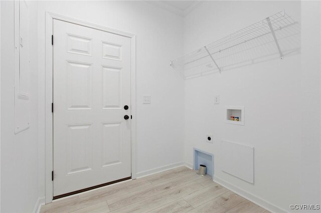 laundry area with hookup for an electric dryer, washer hookup, and light wood-type flooring