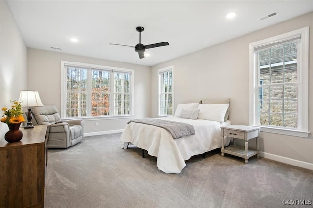 5080 Brandon Pines Way, Providence Forge, VA 23140 - bedroom with carpet floors, multiple windows, and baseboards