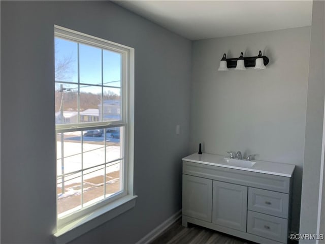 bathroom with vanity, wood-type flooring, and a wealth of natural light