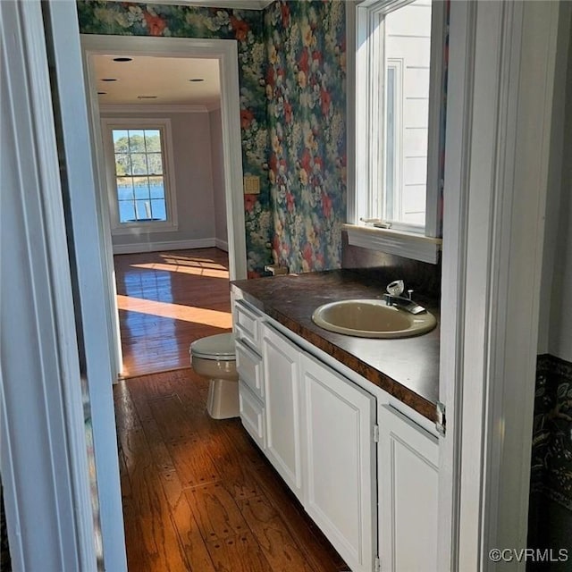 bathroom with vanity, wood-type flooring, and toilet