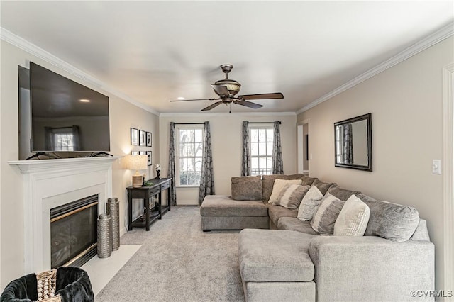 carpeted living room with ceiling fan and ornamental molding