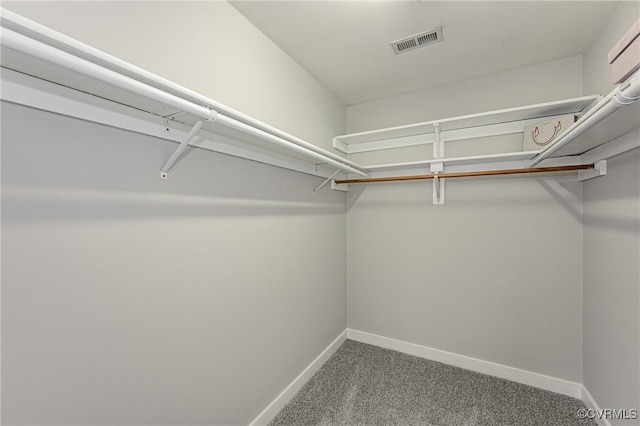 spacious closet with carpet flooring