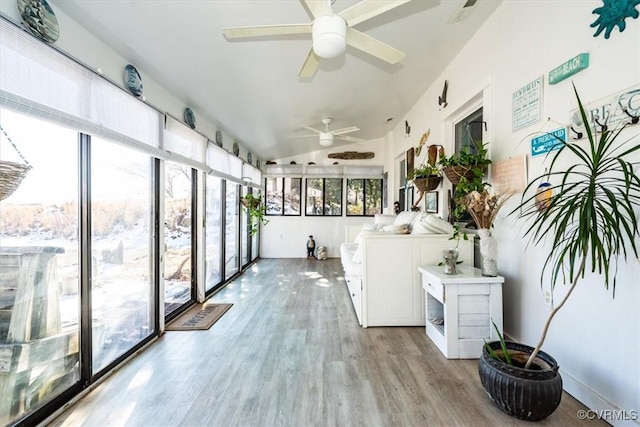 sunroom featuring ceiling fan and a healthy amount of sunlight