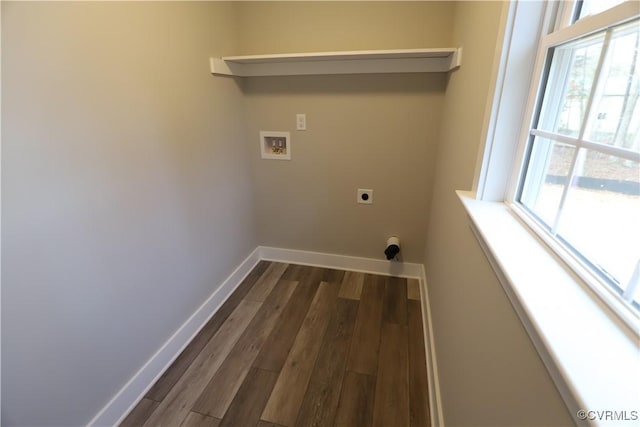 laundry room with washer hookup, electric dryer hookup, and dark wood-type flooring