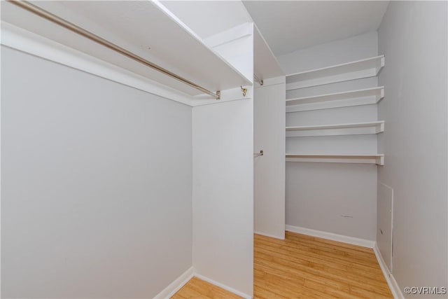 spacious closet with hardwood / wood-style flooring