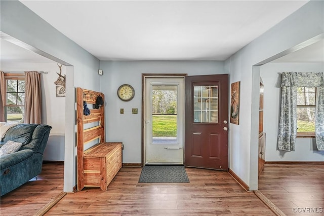 entryway featuring hardwood / wood-style flooring and a wealth of natural light