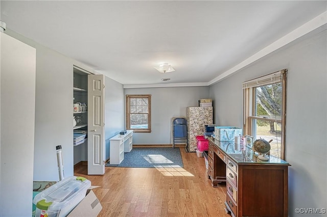 interior space featuring light hardwood / wood-style flooring