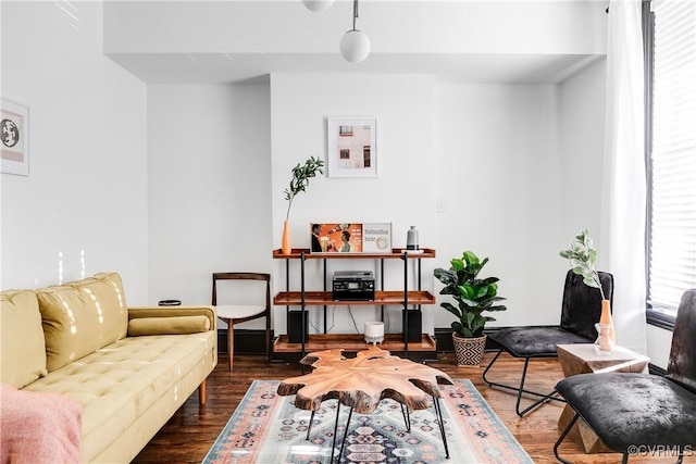 living area with dark hardwood / wood-style flooring