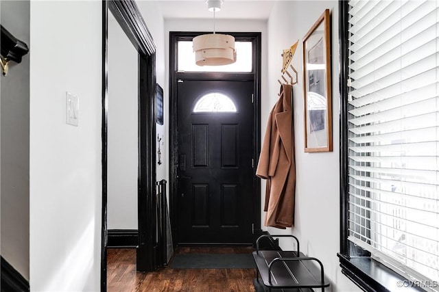 entrance foyer with dark wood-type flooring