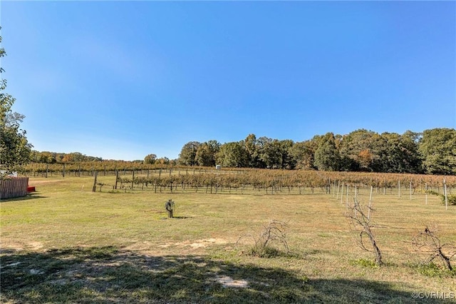 view of yard featuring a rural view