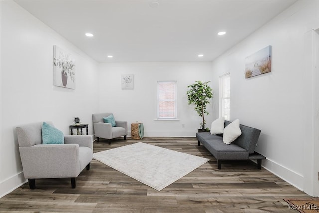 living area featuring wood-type flooring