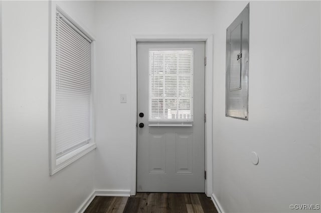 doorway featuring dark wood-type flooring and electric panel