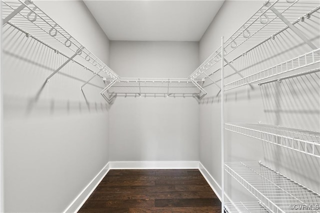 walk in closet with hardwood / wood-style floors