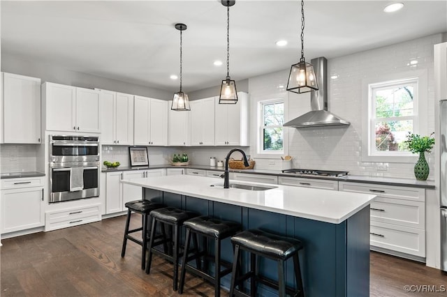 kitchen featuring appliances with stainless steel finishes, ventilation hood, white cabinetry, and sink