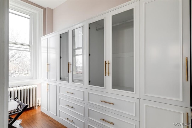 closet with radiator