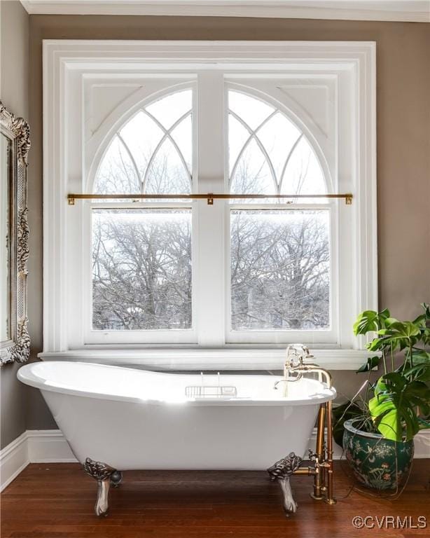 bathroom featuring hardwood / wood-style flooring and a bathing tub