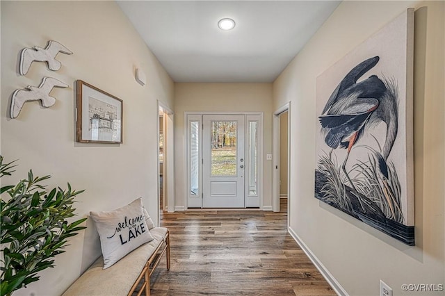 entryway featuring dark hardwood / wood-style flooring