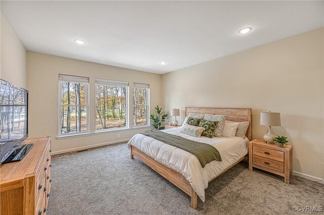 view of carpeted bedroom