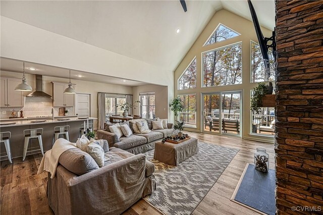 living room featuring hardwood / wood-style floors, high vaulted ceiling, and sink