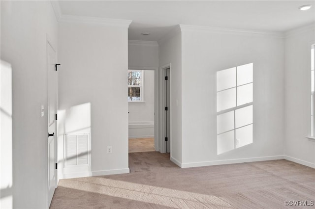 carpeted empty room with crown molding