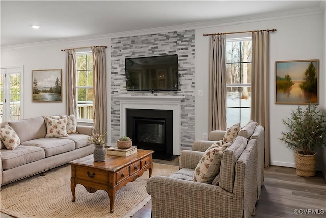 living room with wood-type flooring, a large fireplace, and ornamental molding