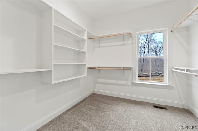 spacious closet featuring carpet flooring