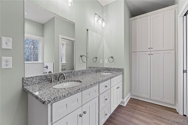 bathroom featuring vanity, wood-type flooring, and backsplash