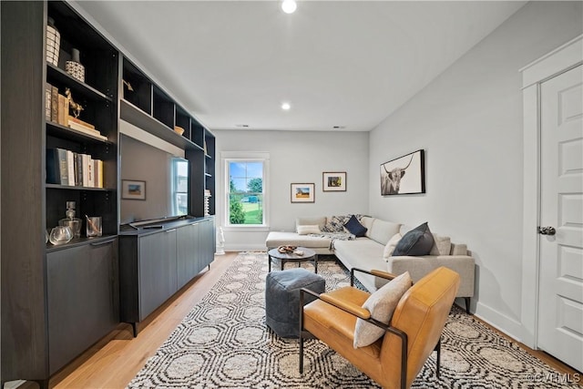 living room featuring light hardwood / wood-style floors